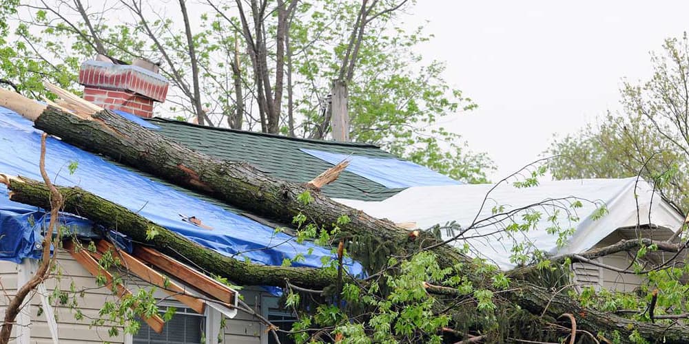 trusted storm damage repair and restoration services Worcester