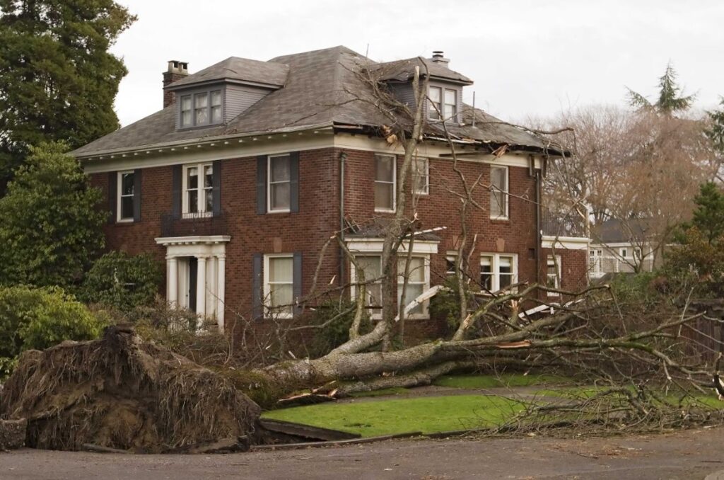 will insurance cover roof damage in Templeton